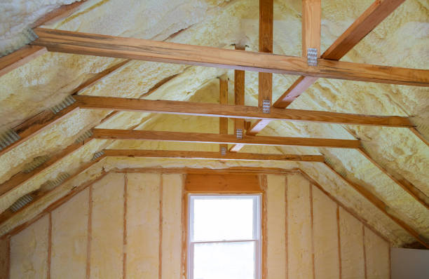 Best Insulation Installation Services in Louisville, TN